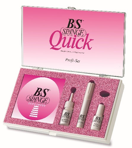 Quick clasps set