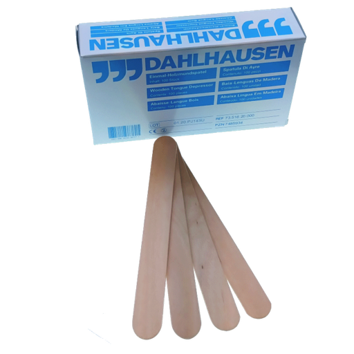 [5442] Wood spatula (100 pcs)